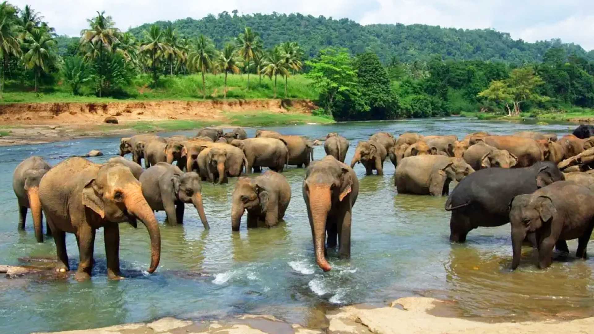 SL Travel Way